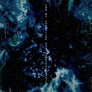 性做爰A片免费播放
