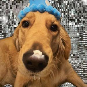 性做爰A片免费播放
